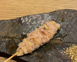 Dinner at Goichi (Higobashi branch)