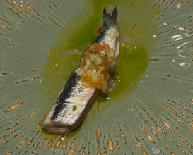 Dinner at Restaurante Narru