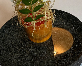 Dinner at Restaurant Jordnær