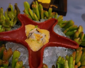 Dinner at Ocean