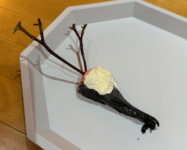residency of Chef Vaughan Mabee from Amisfield