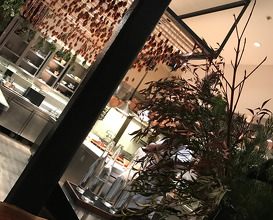 Dinner at Saison