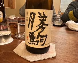 Dinner at Ebi Tei Bekkan (海老亭別館)