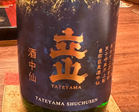Dinner at Ebi Tei Bekkan (海老亭別館)