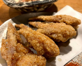 Dinner at 藤井寺市