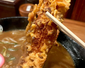 Dinner at うどん道場 谷六店