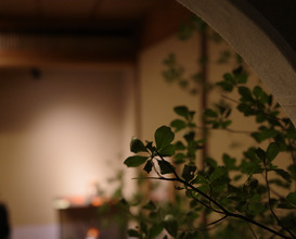 Dinner at 壬生京料理