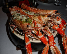 Dinner at Lion In The Sun Dubai