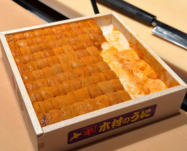 Dinner at Hoseki