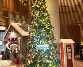 Dinner at The Peninsula Tokyo / ザ・ペニンシュラ東京