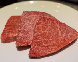 Dinner at Tokyo, Japan