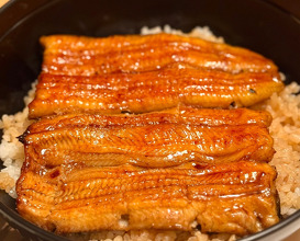 Dinner at Chikuyoutei