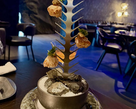 Dinner at Al-Wasl Road, Jumeirah