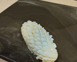 Dinner at Sushi Yugen Omakase