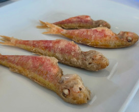 Dinner at Restaurante Scama Guadalmina