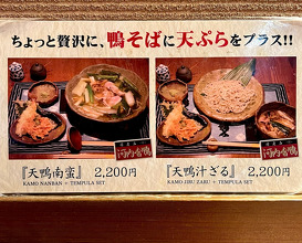 Dinner at 手打ちそば 星