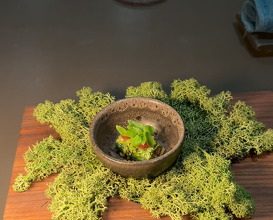Dinner at Marco Müller - RUTZ