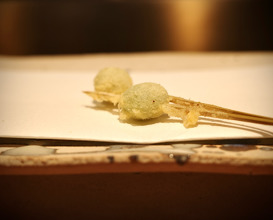 Dinner at くすのき