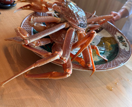 Lunch at Ebi Tei Bekkan (海老亭別館)