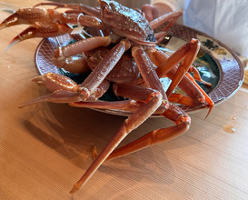 Lunch at Ebi Tei Bekkan (海老亭別館)