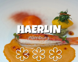 Dinner at Restaurant Haerlin Im Hotel Vier Jahreszeiten