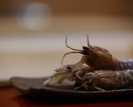 Dinner at 喰切料理 八方