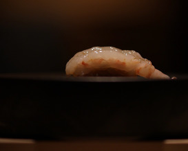 Dinner at Sushi Yuu