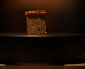 Dinner at Sushi Yuu