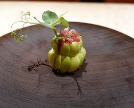 Dinner at Masashi Saito