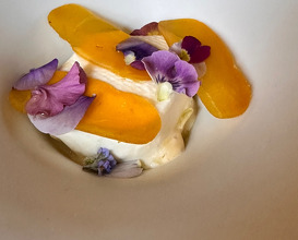 Lunch Villa Aida X Esquisse collaboration