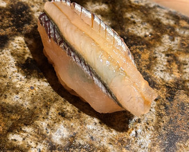 Dinner at Sushi Murayama