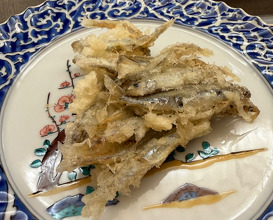 Dinner at てんぷら的場 Tempura Matoba