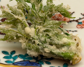 Dinner at てんぷら的場 Tempura Matoba