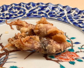 Dinner at てんぷら的場 Tempura Matoba