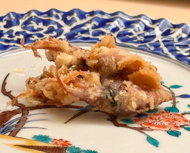 Dinner at てんぷら的場 Tempura Matoba