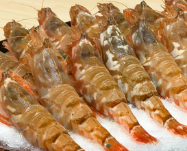Dinner at Kisanuki (木佐貫)
