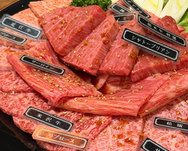Dinner at Yakiniku Seiryuuen (焼肉 静龍苑)