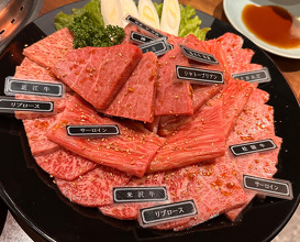 Dinner at Yakiniku Seiryuuen (焼肉 静龍苑)