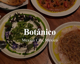 Dinner at Botánico Mx