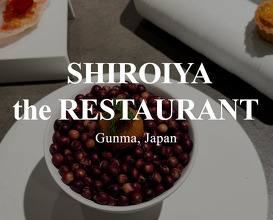 Dinner at SHIROIYA HOTEL