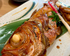 Dinner at こいこい寿司