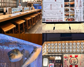 Dinner at こいこい寿司