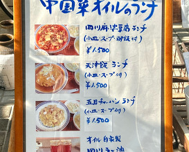 Dinner at 中国菜Oil