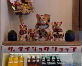 Dinner at THE TEISYOKU SHOP