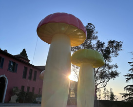 Dinner  at NOMA -Pop up in Los Angeles (The Paramour Estate)