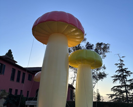 Dinner  at NOMA -Pop up in Los Angeles (The Paramour Estate)