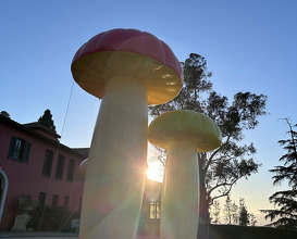 Dinner  at NOMA -Pop up in Los Angeles (The Paramour Estate)
