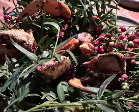 Dinner  at NOMA -Pop up in Los Angeles (The Paramour Estate)