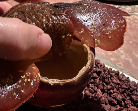 Dinner  at NOMA -Pop up in Los Angeles (The Paramour Estate)