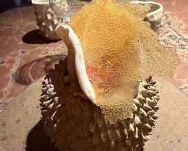 Dinner  at NOMA -Pop up in Los Angeles (The Paramour Estate)
